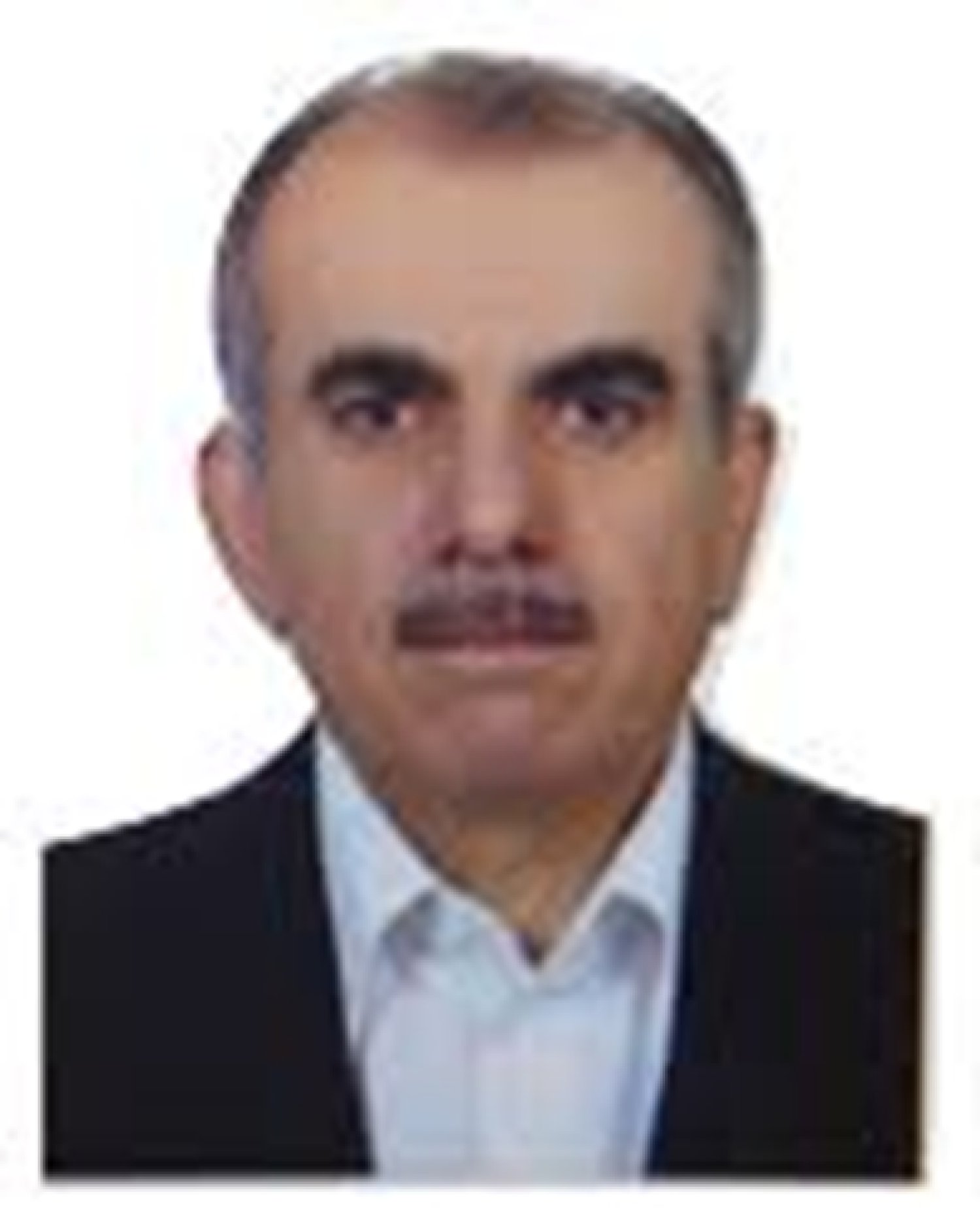 حمزه شکیب