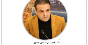 مهندس عامری رئیس سازمان نظام مهندسی ساختمان استان خراسان جنوبی